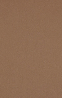 Color: Camel