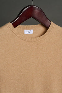 Color: Vicuna