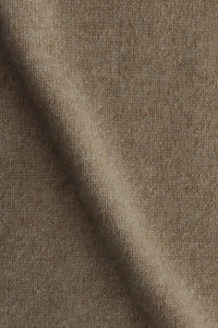 Color: Vicuna